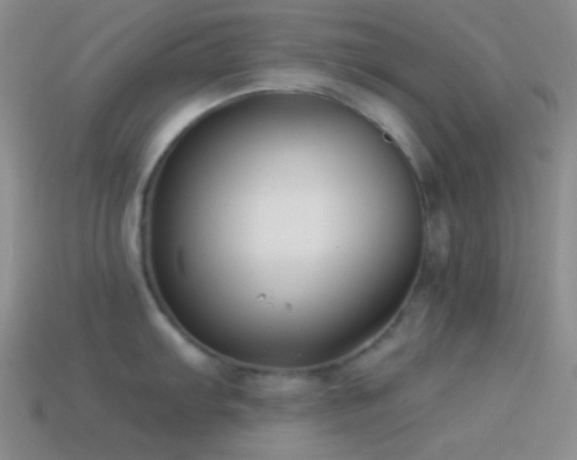 X0000114511103200910191127