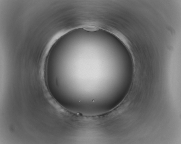 X0000114511104200910191127