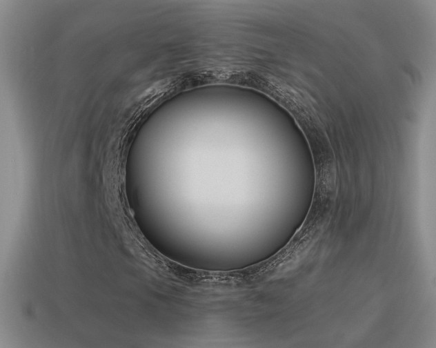 X0000114511105200910191126