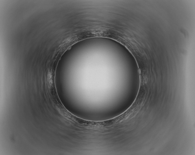 X0000114511106200910191126