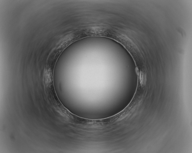 X0000114511107200910191126