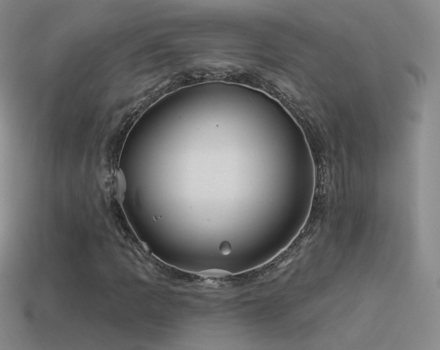 X0000114511109200910191126
