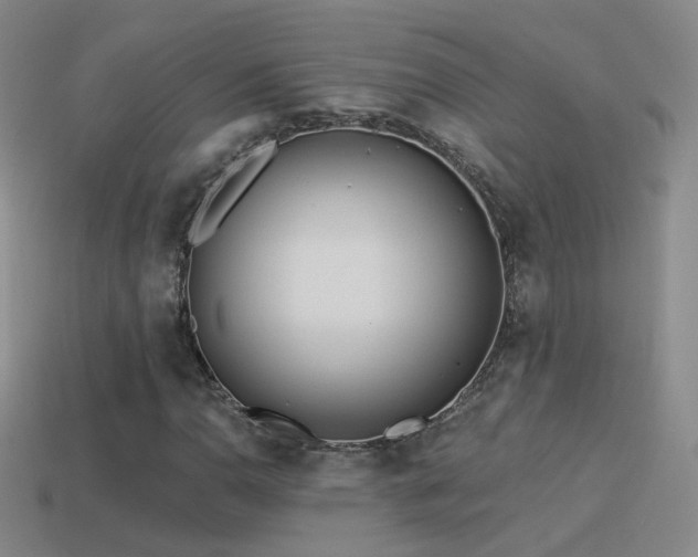 X0000114511110200910191127