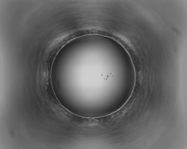X0000114511111200910191127