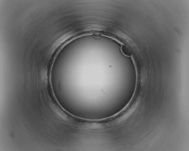 X0000114511113200910191127