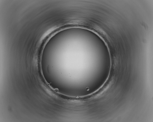 X0000114511114200910191127
