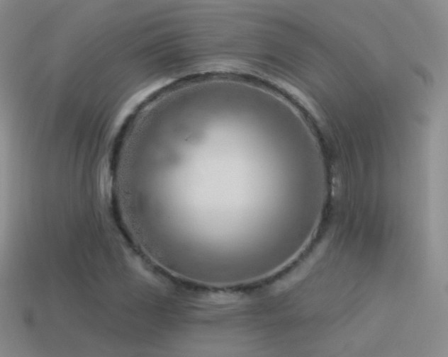X0000114511117200910191127