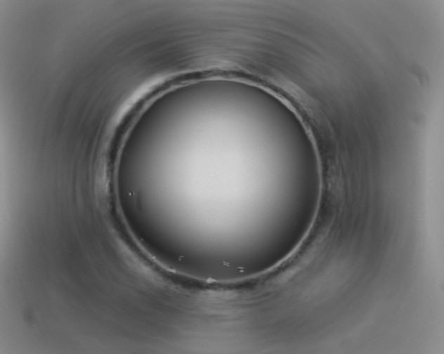 X0000114511118200910191127