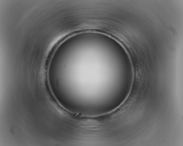 X0000114511119200910191127