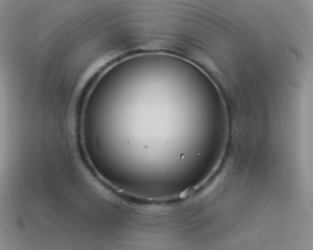 X0000114511122200910191127