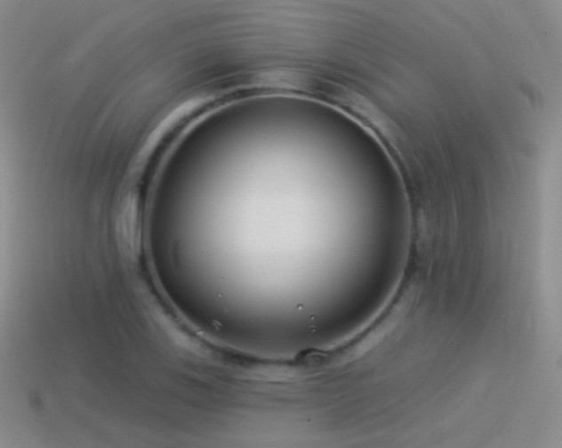 X0000114511123200910191127