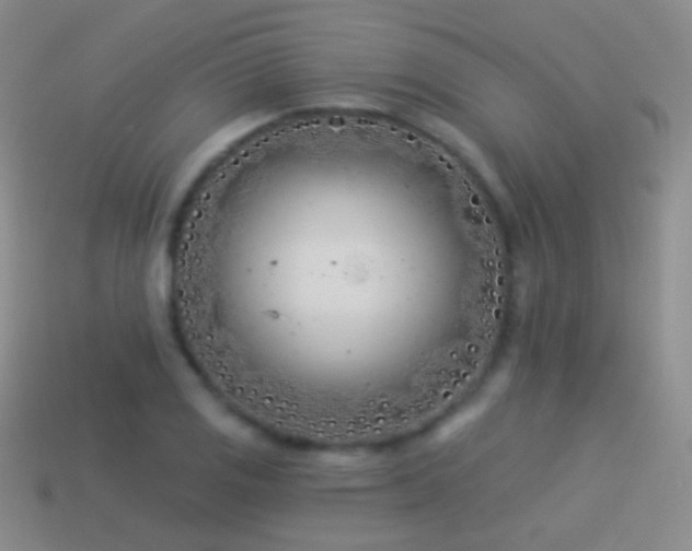 X0000114511125200910191127
