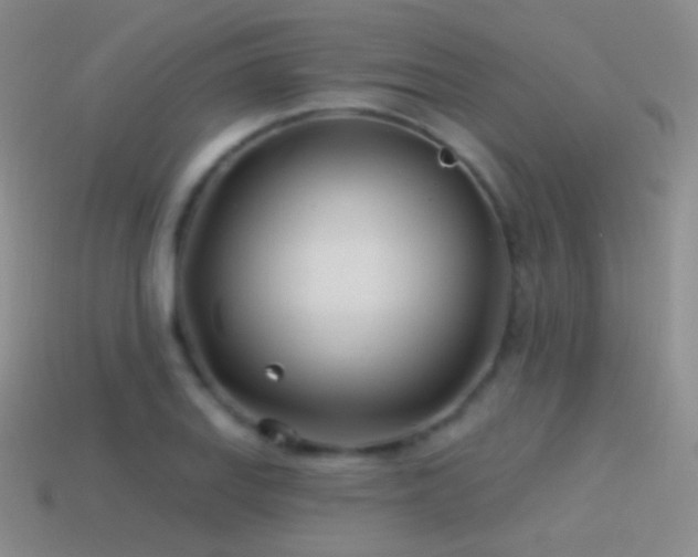 X0000114511127200910191127