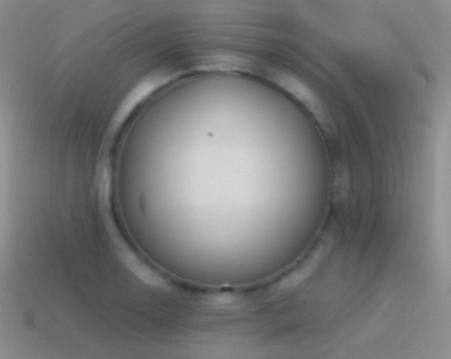 X0000114511130200910191127