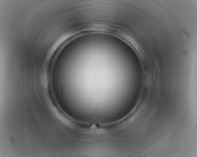 X0000114511131200910191127