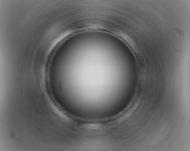 X0000114511134200910191127