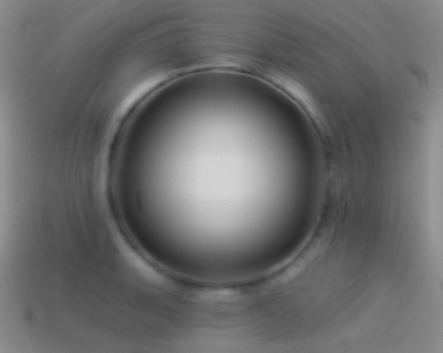 X0000114511135200910191127