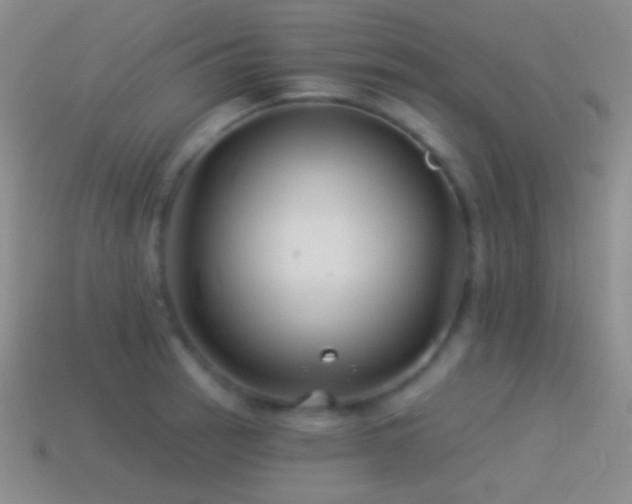 X0000114511137200910191127