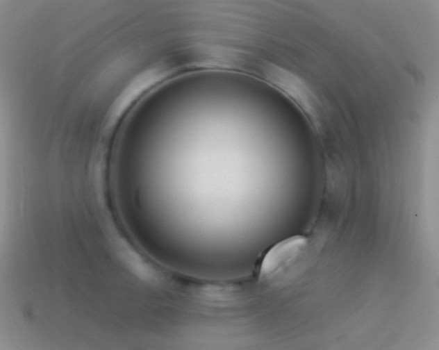X0000114511138200910191127