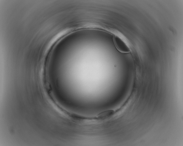 X0000114511142200910191127