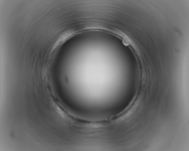 X0000114511145200910191127