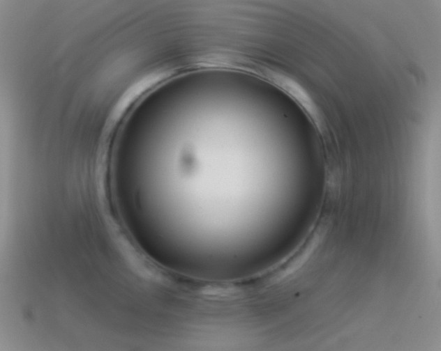X0000114511146200910191127