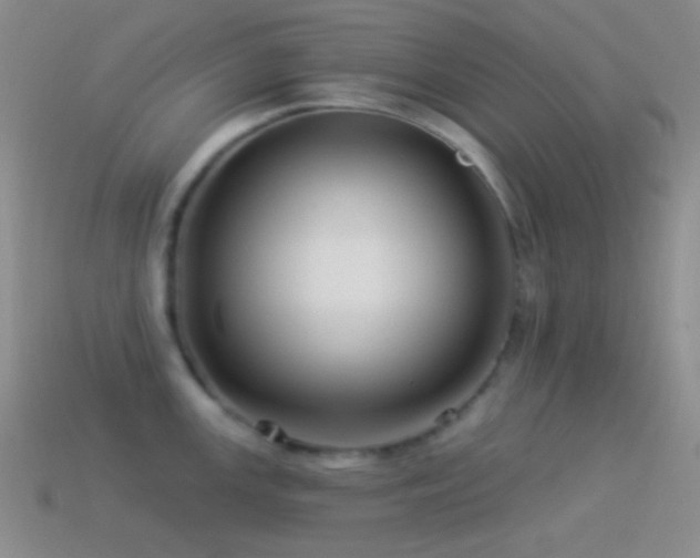 X0000114511147200910191127