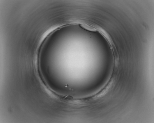 X0000114511149200910191127
