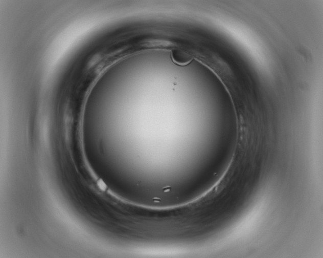 X0000114511151200910191127