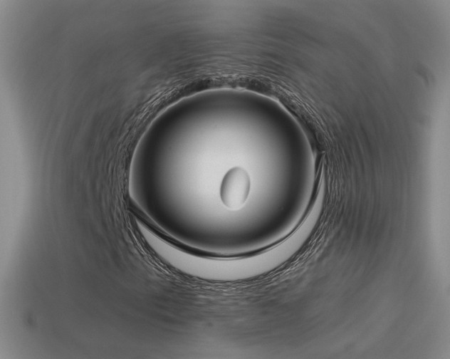 X0000114511153200910191126