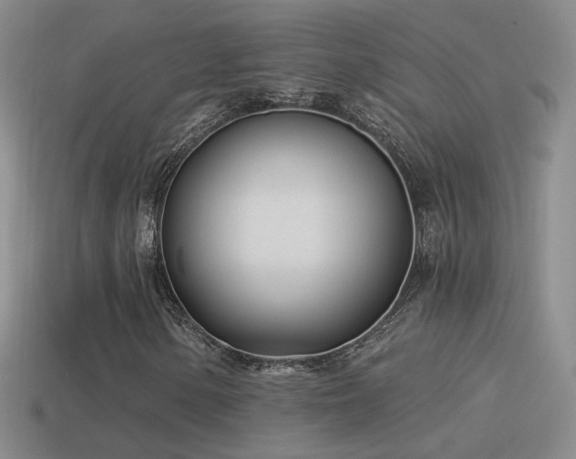 X0000114511154200910191126