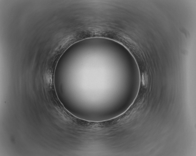 X0000114511155200910191126