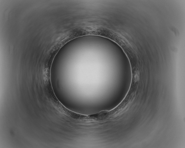 X0000114511156200910191126
