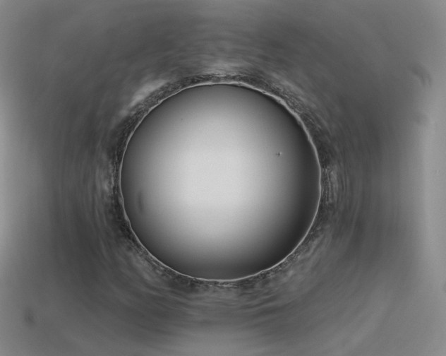 X0000114511158200910191126