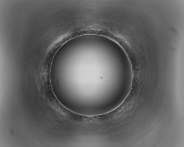 X0000114511159200910191126