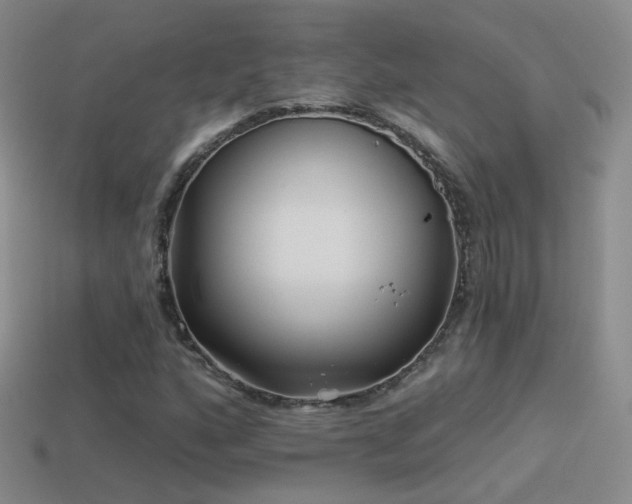 X0000114511160200910191126