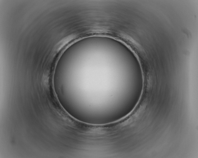 X0000114511162200910191126