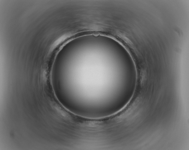 X0000114511163200910191126
