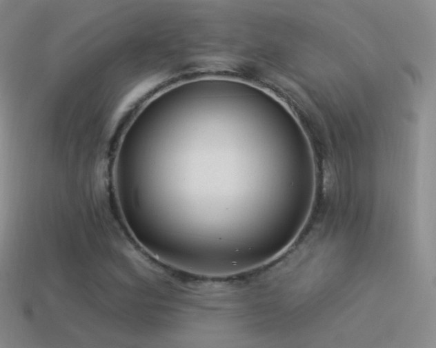 X0000114511164200910191126