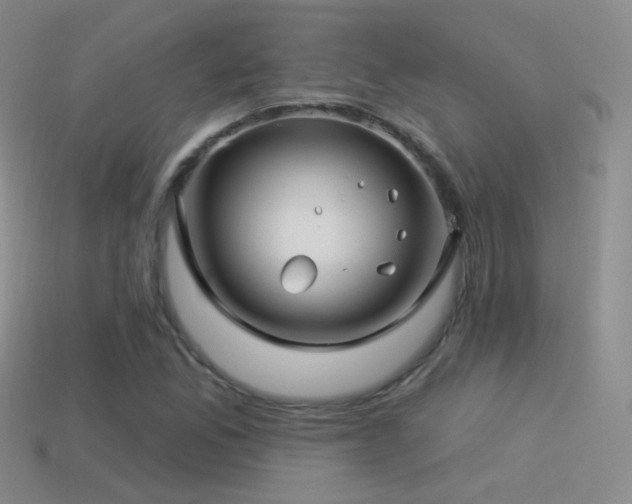 X0000114511165200910191126
