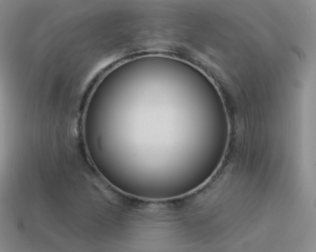 X0000114511166200910191126