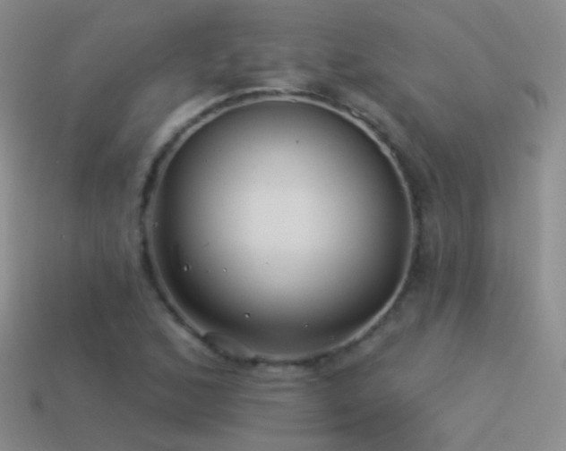 X0000114511168200910191126
