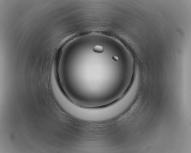 X0000114511169200910191126