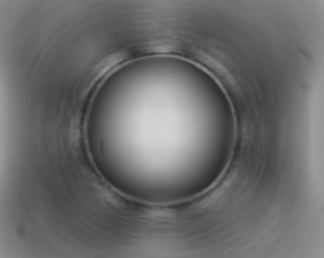 X0000114511170200910191126