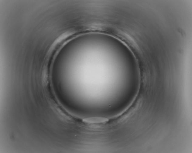 X0000114511172200910191126