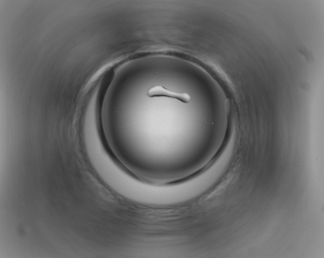 X0000114511173200910191126