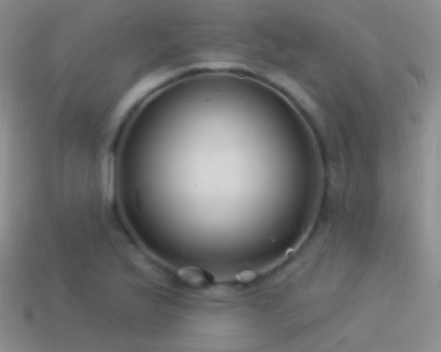 X0000114511175200910191126