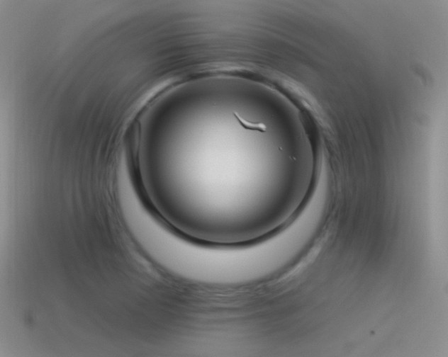 X0000114511177200910191126