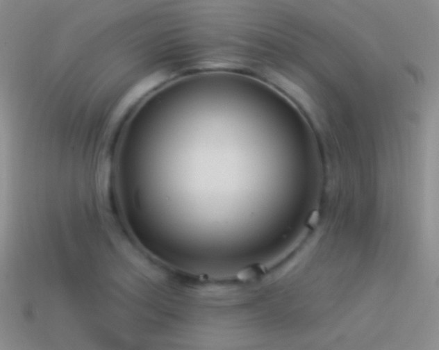 X0000114511179200910191126
