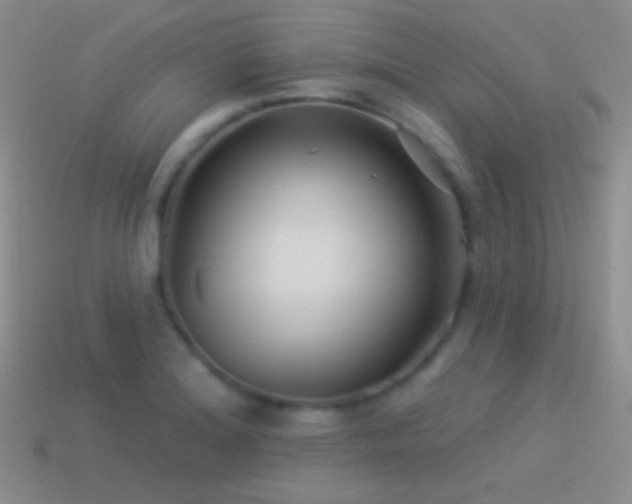 X0000114511180200910191126